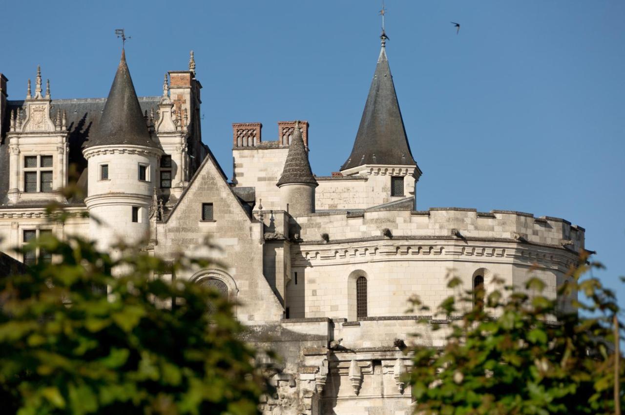 Le Manoir Les Minimes Hotel Amboise Exterior photo